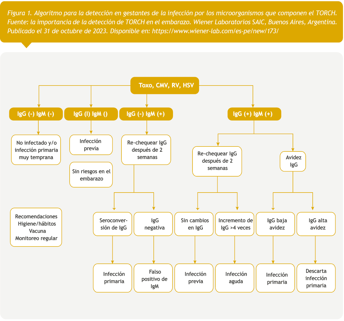 En 1971, Andreas Nahmias2 definió que tales infecciones se agrupan bajo el acrónimo TORCH (toxoplasmosis, otros agentes, rubéola, citomegalovirus (CMV) y virus del herpes simple (VHS)3-5) (tabla 1), que se utiliza universalmente para caracterizar el cuadro clínico que padece el feto o recién nacido (RN) y que es compatible con una infección congénita producida por estos microorganismos6.