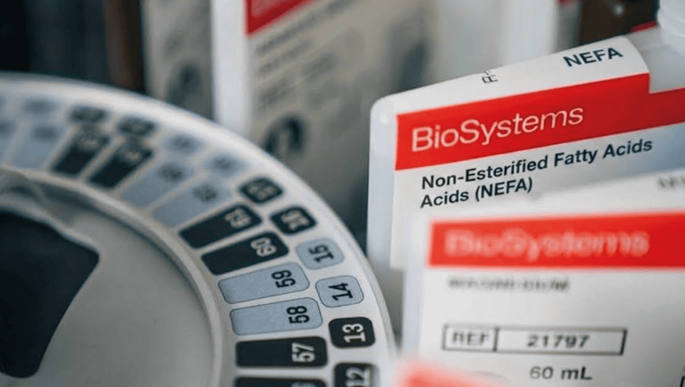 Reactivo NEFA BioSystems de Laborteknic