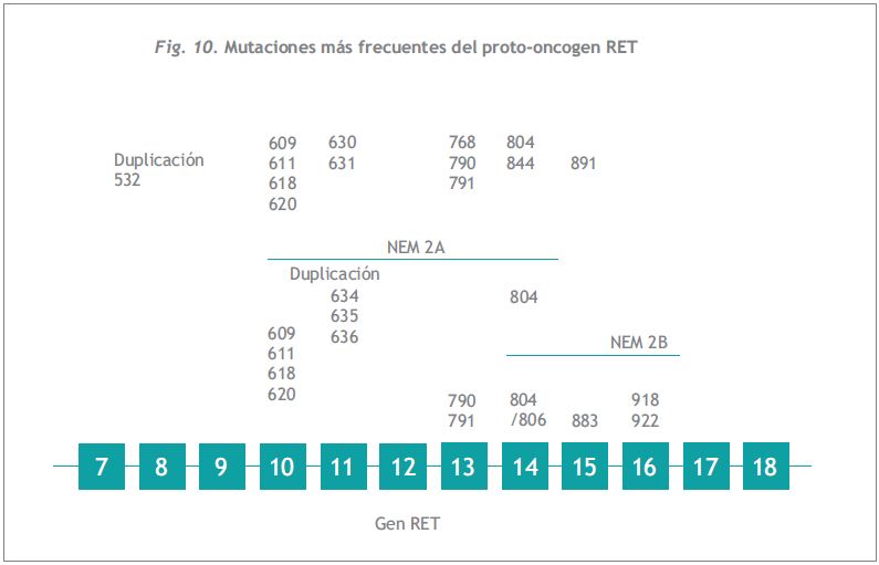 nota_7_3_6