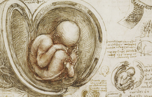 Diagnóstico prenatal de malformaciones congénitas y alteraciones cromosómicas: resultado de la experiencia CIMAF - Hospital Dr. Sótero Del Río