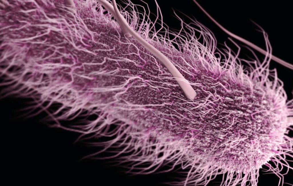 Urocultivo y parcial de orina en el diagnóstico de las infecciones del tracto urinario