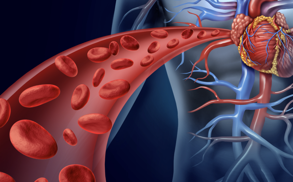 Biomarcadores cardiacos de aterotrombosis y su implicación en la estimación del riesgo de enfermedad cardiovascular