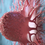 ICMT como potencial biomarcador en el cáncer