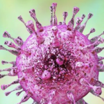 Epidemiología y diagnóstico de infección congénita por citomegalovirus