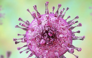 Epidemiología y diagnóstico de infección congénita por citomegalovirus
