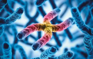Frecuencia de las mutaciones C282Y y H63D del gen HFE en pacientes con diagnóstico de deficiencia de alfa-1- antitripsina