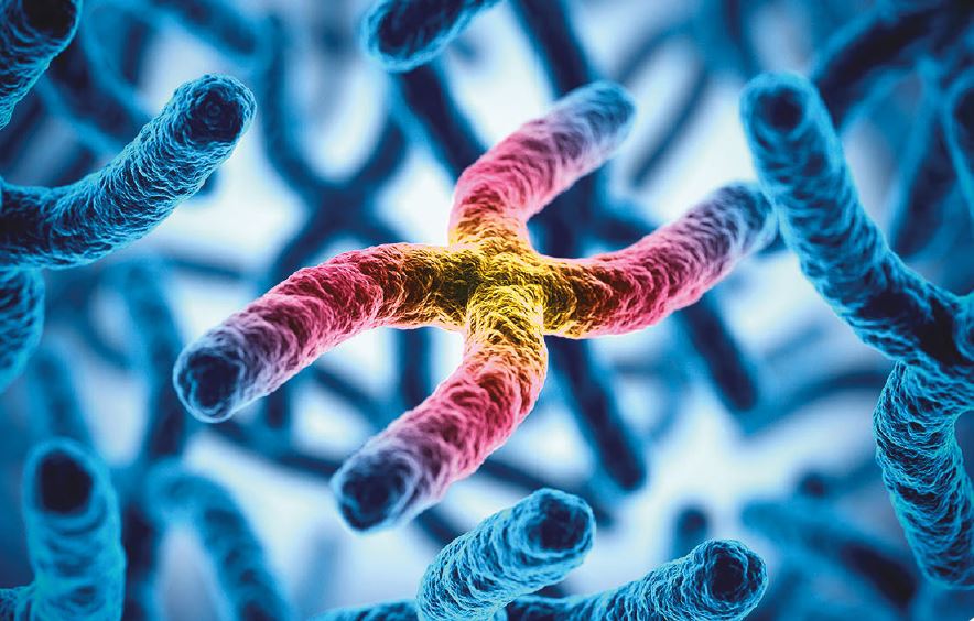 Frecuencia de las mutaciones C282Y y H63D del gen HFE en pacientes con diagnóstico de deficiencia de alfa-1- antitripsina