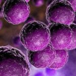 Evaluación de una técnica de PCR en tiempo real para determinar colonización por Streptococcus agalactiae en mujeres gestantes de Medellín que consultan en Dinámica IPS