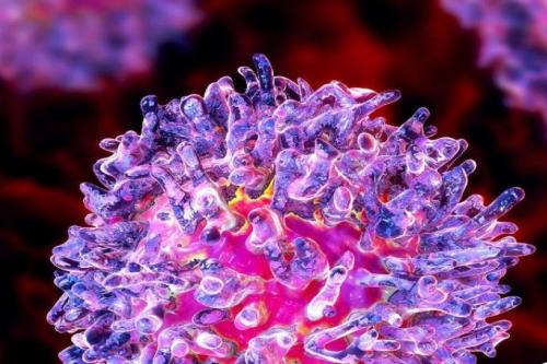 Caracterización biológica del marcador CD66c y su importancia clínica en la leucemia linfoide aguda