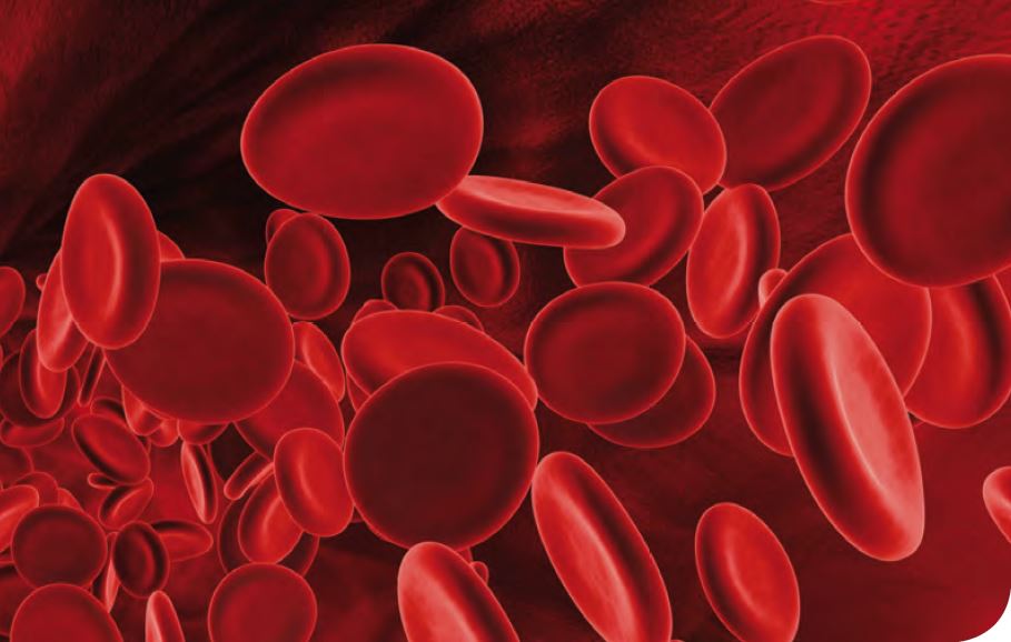 Diagnóstico de neoplasias hematológicas a partir del hemograma y la citomorfología: Casos Clínicos