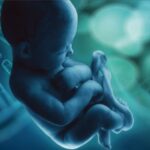 Variantes de la heterocromatina y la eucromatina en el diagnóstico prenatal citogenético