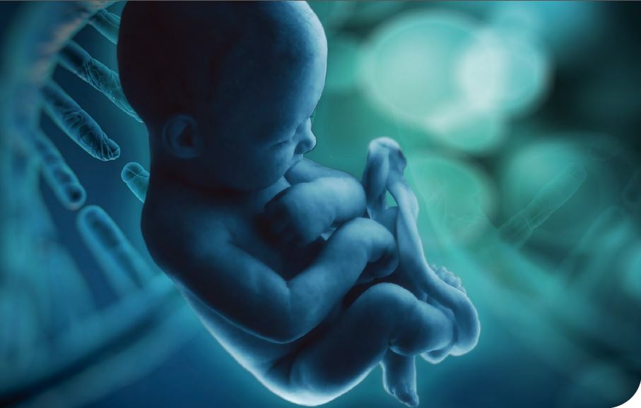 Variantes de la heterocromatina y la eucromatina en el diagnóstico prenatal citogenético