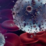 Aportes y consideraciones sobre la infección por los virus linfotrópicos T humanos tipo 1 y 2 (HTLV-1/2) en Argentina