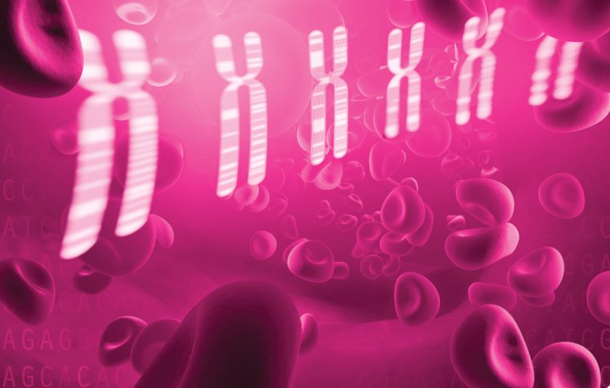 Caracterización citogenética y molecular de una paciente ecuatoriana con cromosoma 4 en anillo: análisis clínico comparativo con 37 casos internacionales