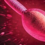 Espermocultivo: crecimiento bacteriano del eyaculado y su relación con los parámetros seminales