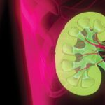 Microalbuminuria: factor predictor de la función renal en mujeres gestantes
