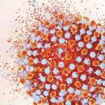 Epidemiología molecular del virus de la hepatitis C