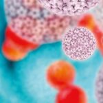 Modernas metodologías diagnósticas para la detección del Virus del Papiloma Humano y prevención del cáncer de cuello uterino