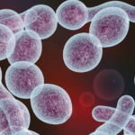 Efectividad del sistema de puntuación de Nugent en el diagnóstico de vaginosis bacteriana