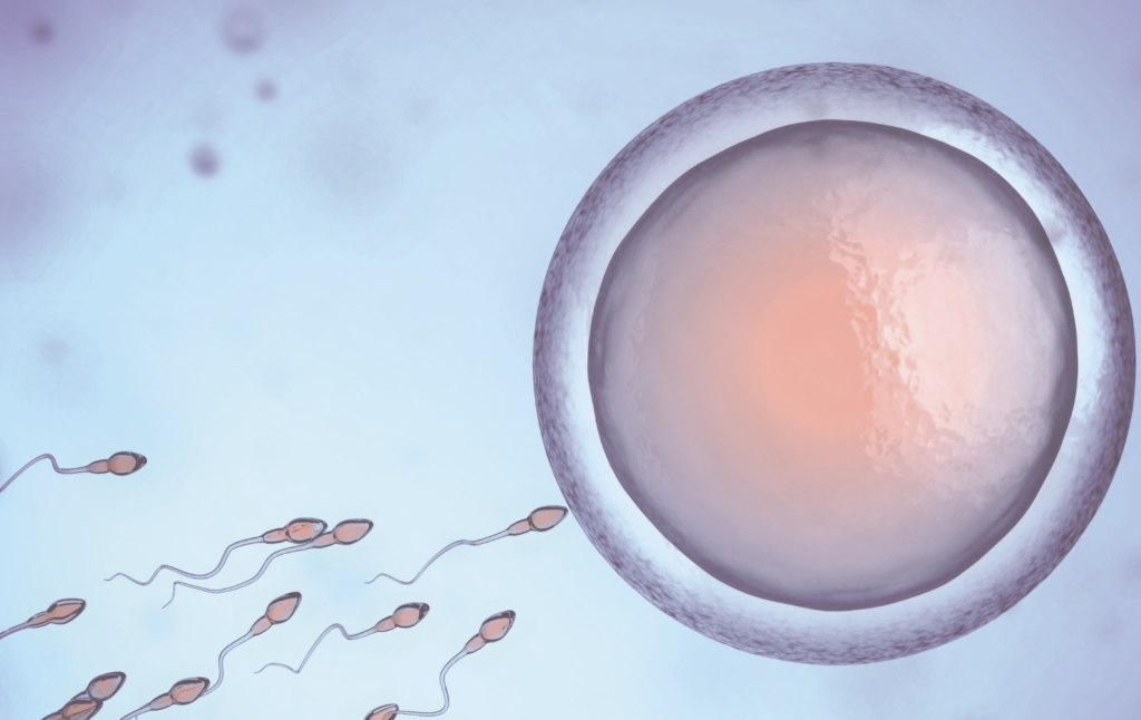 Evaluación citogenética en parejas con esterilidad e infertilidad que concurren al Departamento de Genética del Instituto de Investigaciones en Ciencias de la Salud de la Universidad Nacional de Asunción en el periodo septiembre 2021- febrero 2022