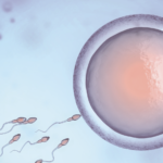 Evaluación citogenética en parejas con esterilidad e infertilidad que concurren al Departamento de Genética del Instituto de Investigaciones en Ciencias de la Salud de la Universidad Nacional de Asunción en el periodo septiembre 2021- febrero 2022