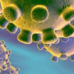 Una nueva zoonosis viral de preocupación global: COVID-19, enfermedad por coronavirus 2019