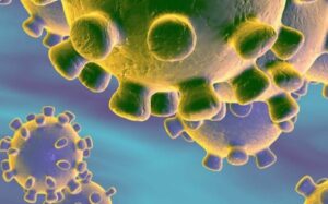 Una nueva zoonosis viral de preocupación global: COVID-19, enfermedad por coronavirus 2019