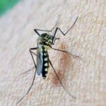 Características clínicas y de laboratorio en pacientes pediátricos ambulatorios con Fiebre Dengue