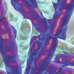 Evaluación de test rápidos y diseño de una estrategia para la detección y caracterización de carbapenemasas en cepas de bacilos gramnegativos