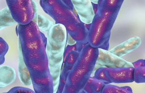 Evaluación de test rápidos y diseño de una estrategia para la detección y caracterización de carbapenemasas en cepas de bacilos gramnegativos
