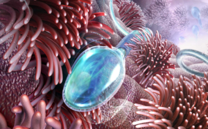 El plasma seminal de hombres vasectomizados como medio de diseminación de bacterias