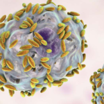Infecciones vaginales en mujeres en edad fértil