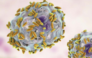 Infecciones vaginales en mujeres en edad fértil
