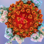 Anticuerpos anti-SARS-CoV-2: Evaluación del desempeño clínico de un método automatizado