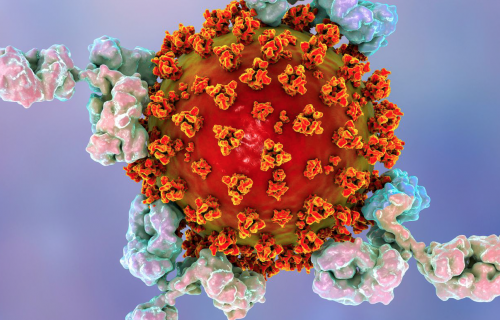 Anticuerpos anti-SARS-CoV-2: Evaluación del desempeño clínico de un método automatizado