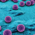 Bacteriemias por Staphylococcus aureus: Factores de Riesgo Asociados a la Resistencia a Meticilina