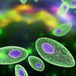 Toxoplasmosis congénita en gemelos