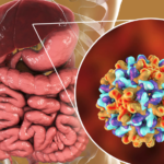 Evaluación de la respuesta inmunológica a tres dosis de la vacuna contra la Hepatitis B en trabajadores de un hospital universitario portugués