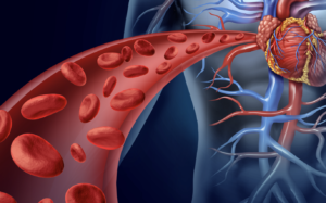 Biomarcadores cardiacos de aterotrombosis y su implicación en la estimación del riesgo de enfermedad cardiovascular
