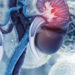 Valor de corte del cociente proteinuria/creatininuria predictor de proteinuria = 150 mg/24 h en una muestra de estudiantes argentinos. Utilidad de su aplicación para categorización de la proteinuria
