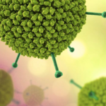 La versatilidad del adenovirus humano en el paciente inmunocompetente