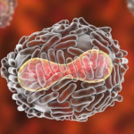 Un paciente con Rickettsiosis variceliforme o viruela rickettsiósica