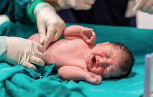Atención al neonato expuesto o infectado con el virus varicela-zoster