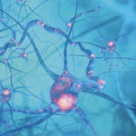 Relevancia del metabolismo del folato en el contexto de enfermedades neurodegenerativas