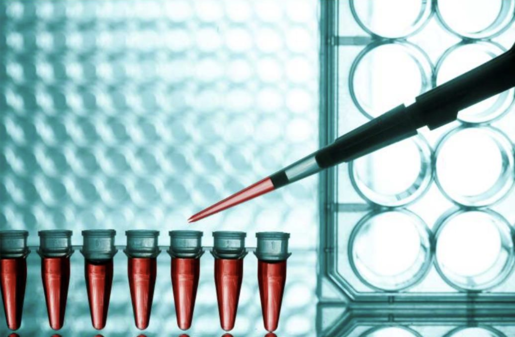 Predisposición genética para el cáncer de mama: genes BRCA1 y BRCA2