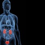 Implicancia de la Proteinuria en el Diagnóstico y Seguimiento de la Enfermedad Renal Crónica