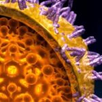 Factores de riesgo y seroprevalencia de marcadores virales de hepatitis B (HVB) y hepatitis C (HVC) en grupos de alto riesgo en Chiapas