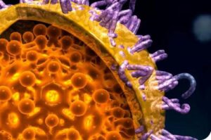 Factores de riesgo y seroprevalencia de marcadores virales de hepatitis B (HVB) y hepatitis C (HVC) en grupos de alto riesgo en Chiapas