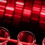 Introducción de la técnica PCR-RFLP para el diagnóstico de dos mutaciones en el gen VHL