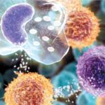 Métodos Diagnósticos en Tuberculosis; lo convencional y los avances tecnológicos en el siglo XXI